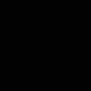 Meet your Posher, Cesar